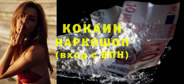 прущие грибы Михайлов