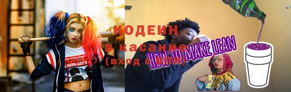 прущие грибы Михайлов