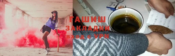 прущие грибы Михайлов