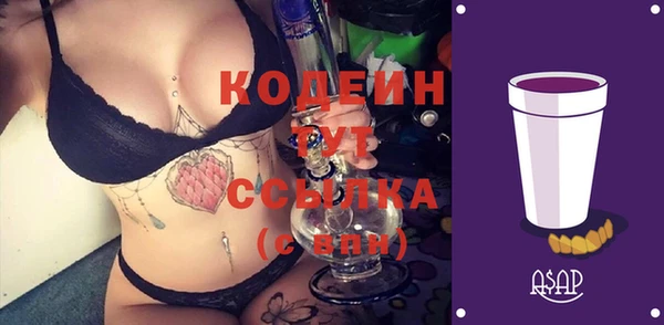 прущие грибы Михайлов