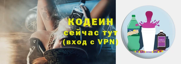 прущие грибы Михайлов