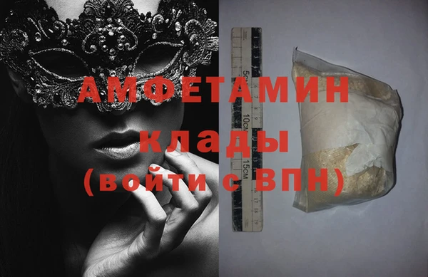 прущие грибы Михайлов