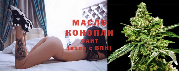 прущие грибы Михайлов