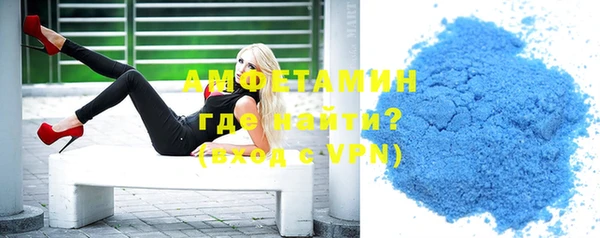 индика Ряжск