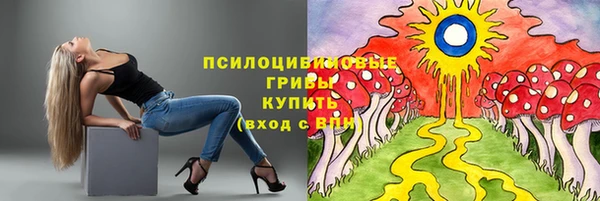 дживик Михайловск