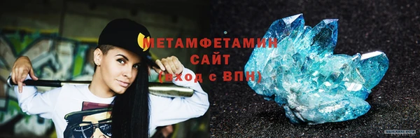 прущие грибы Михайлов