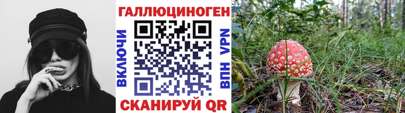 Галлюциногенные грибы Magic Shrooms  купить наркотики цена  Сухиничи 